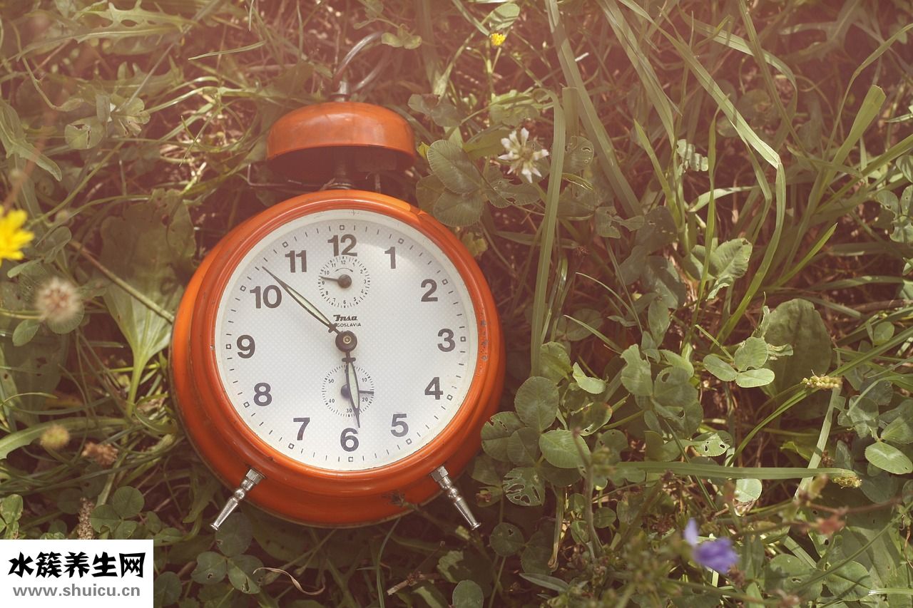 不動瘦減肥藥怎么樣