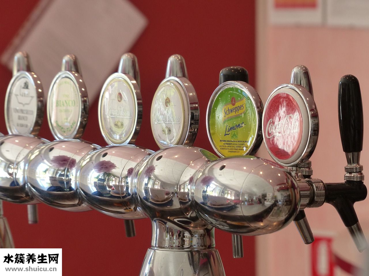 遠洋山水怎么樣