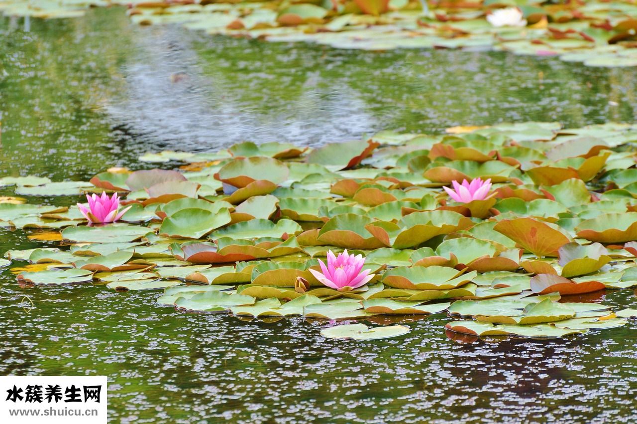 怎么樣胎教比較好