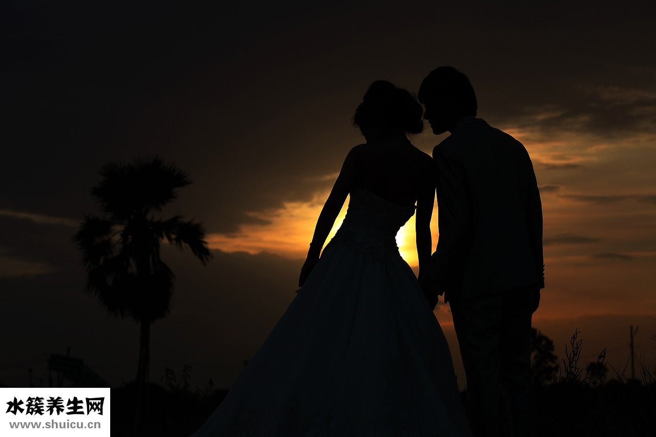 泰國(guó)斗魚(yú)吃什么