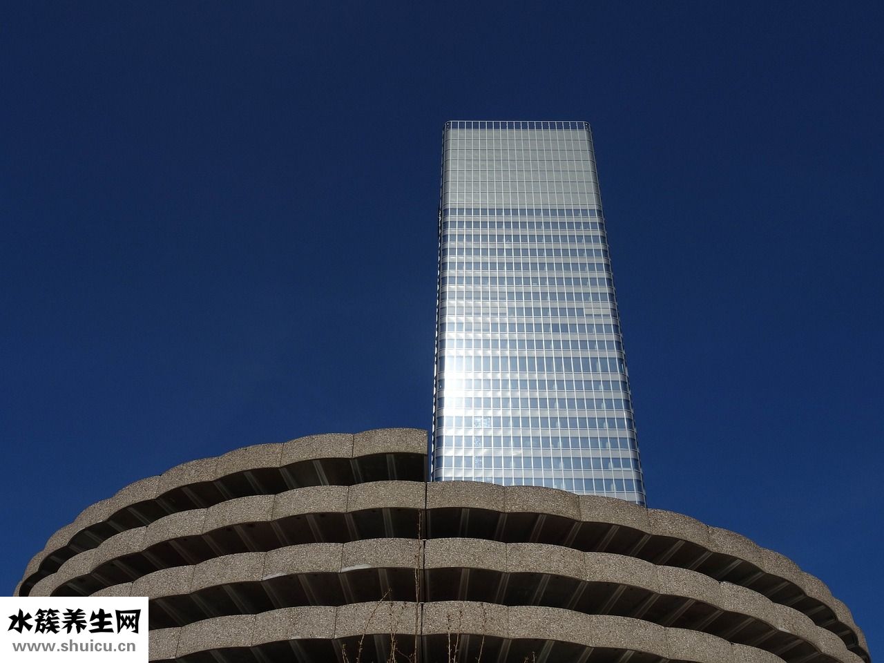 施樂輝髓內釘怎么樣