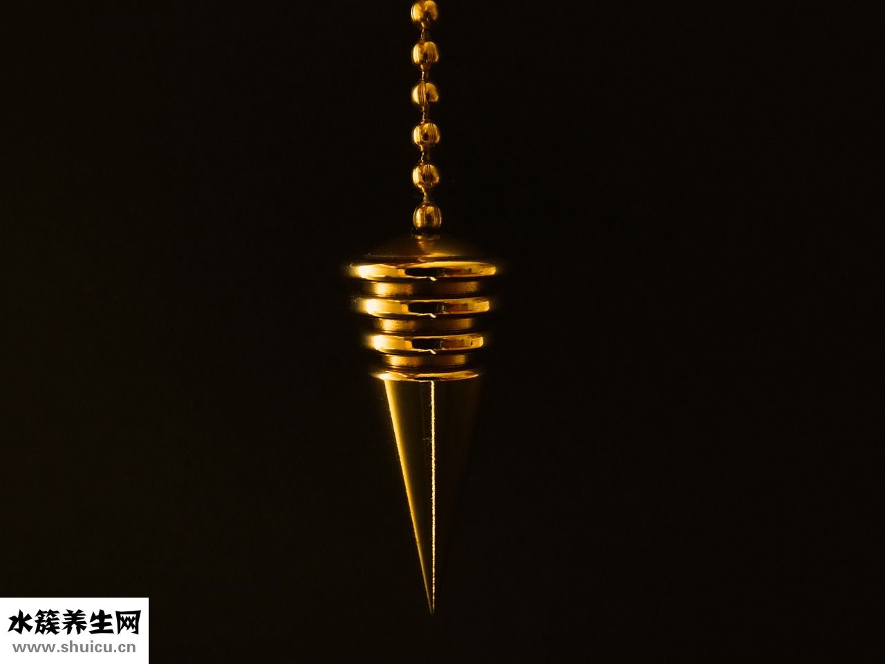 百娜綺貓糧怎么樣