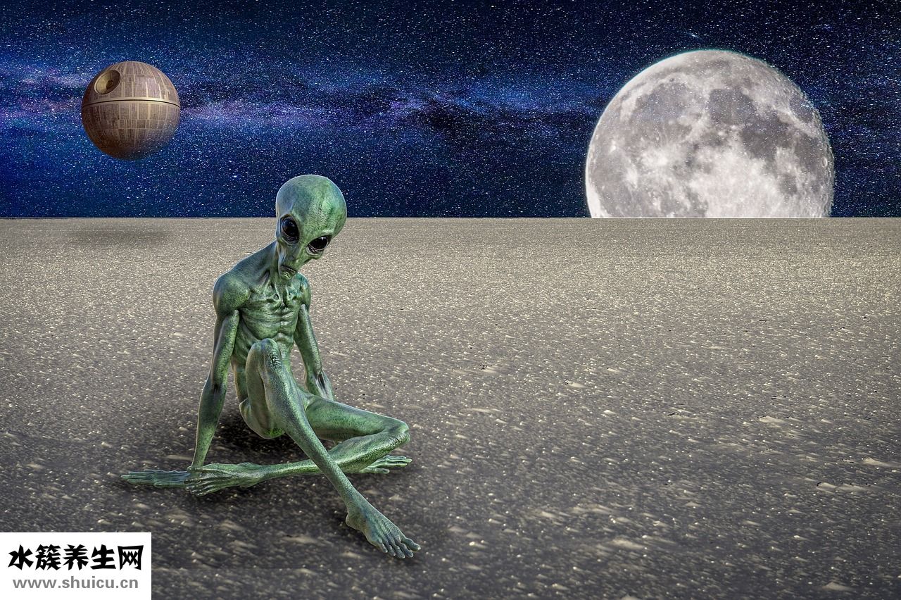 木都車衣服怎么樣