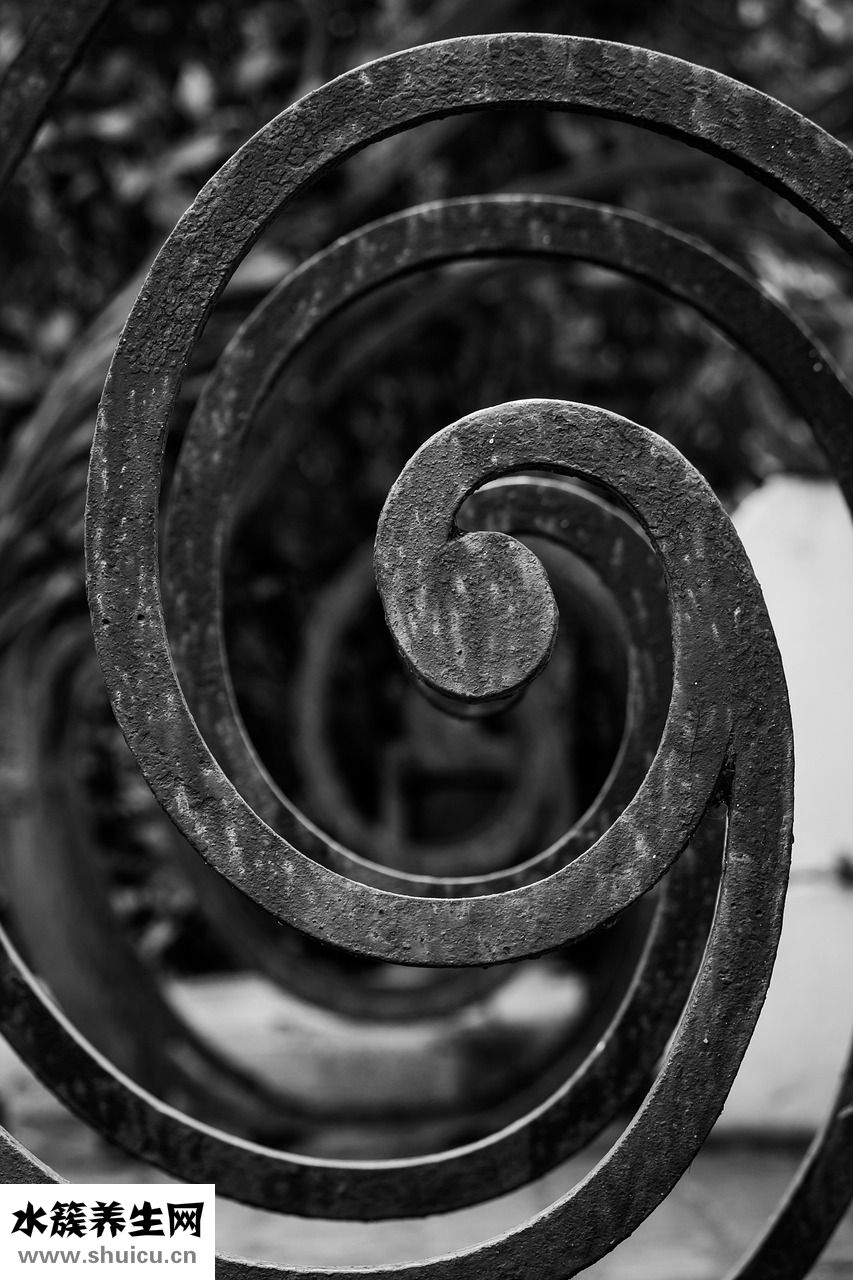 思柏鏡架怎么樣