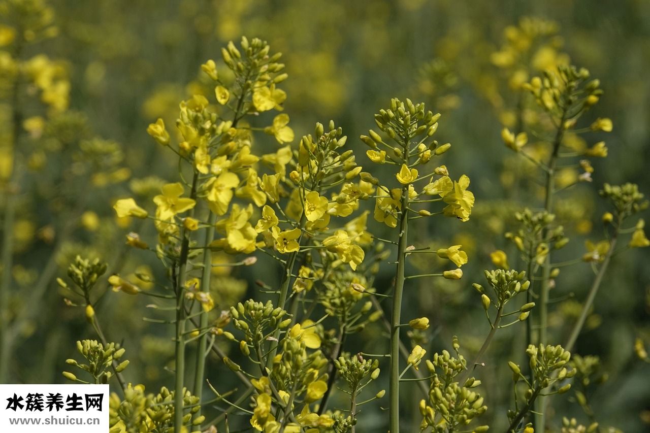 木都車衣服怎么樣