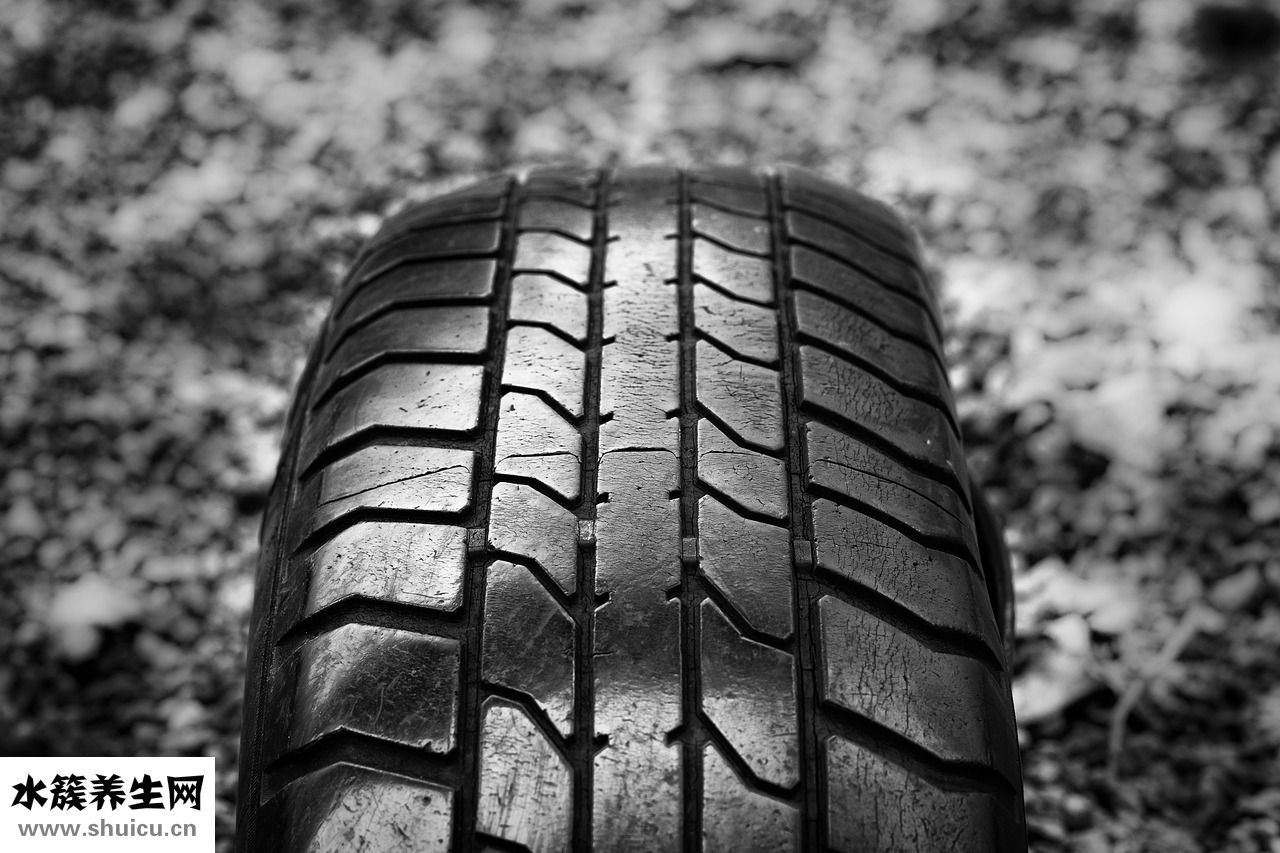 細(xì)魅怎么樣