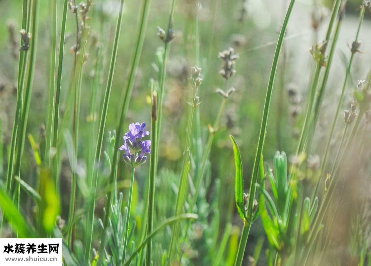 睡覺打鼾怎么辦