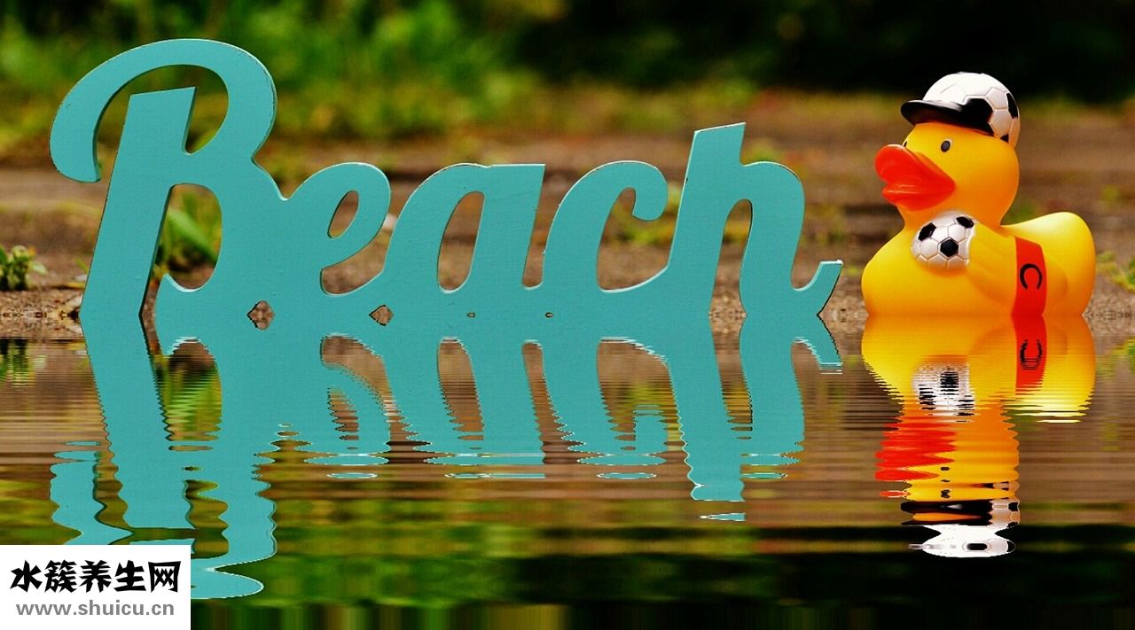 曾家中學怎么樣