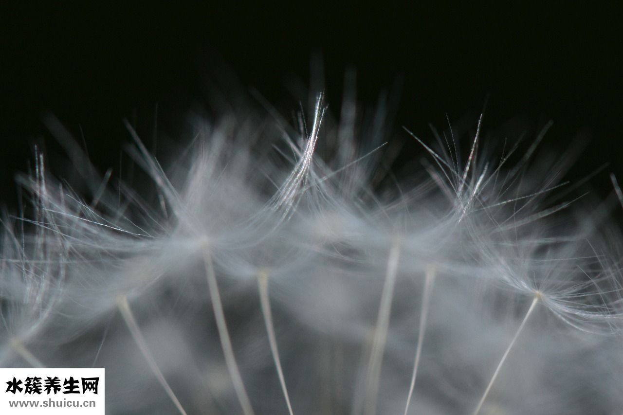 唐僧是什么轉世