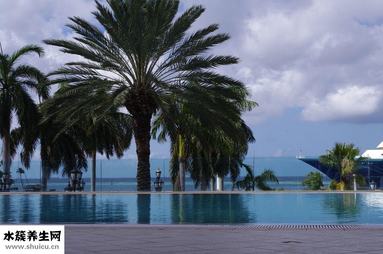 燙發后怎么打理