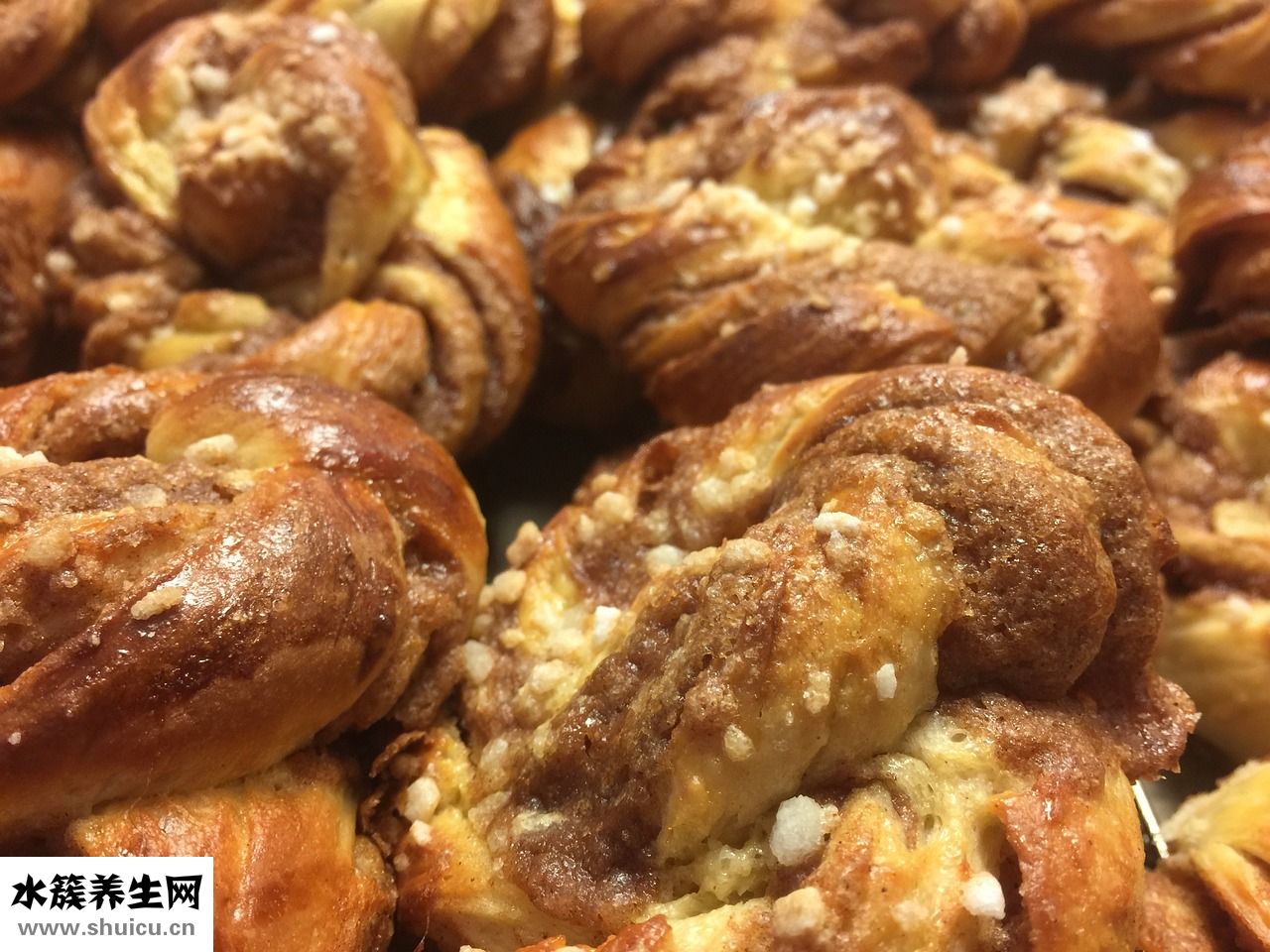 怎么樣能讓狗變溫順