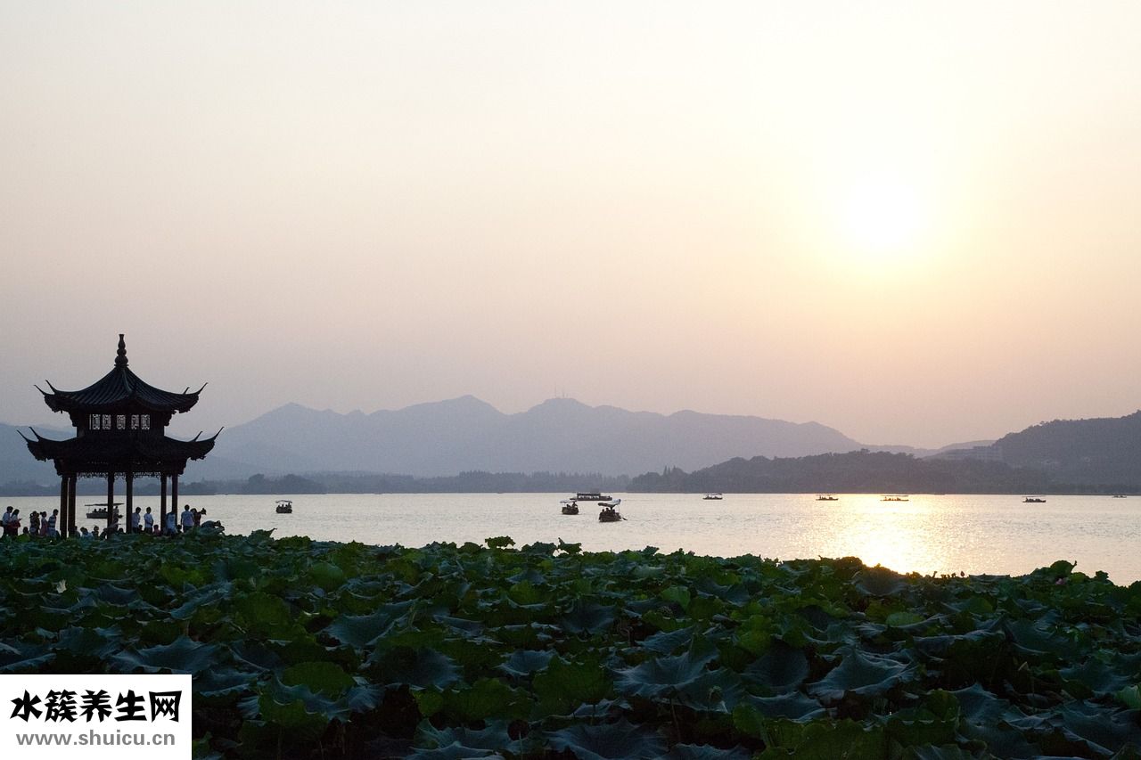 地攤茶葉質量怎么樣