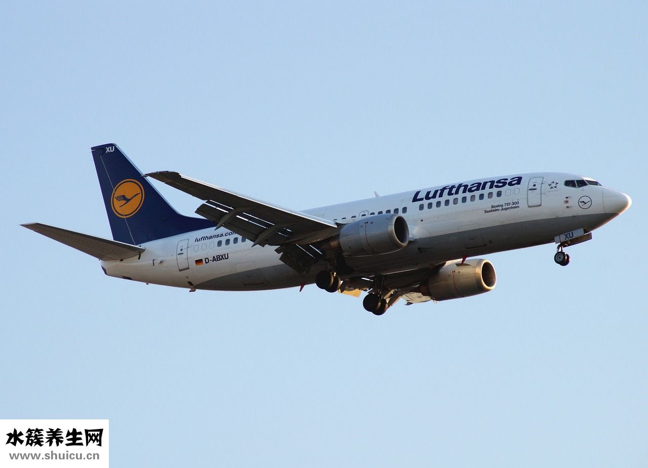 什么是空頭支票