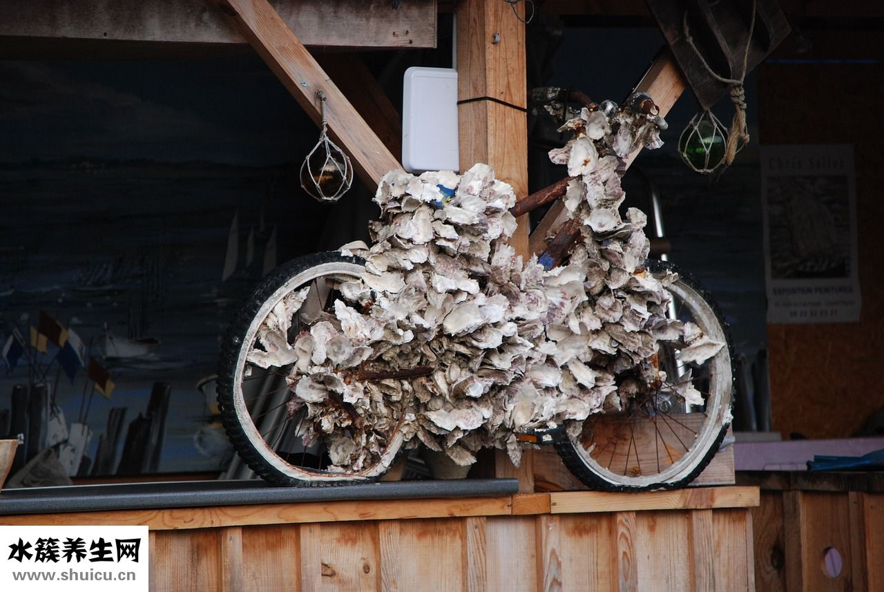 海加爾山怎么去