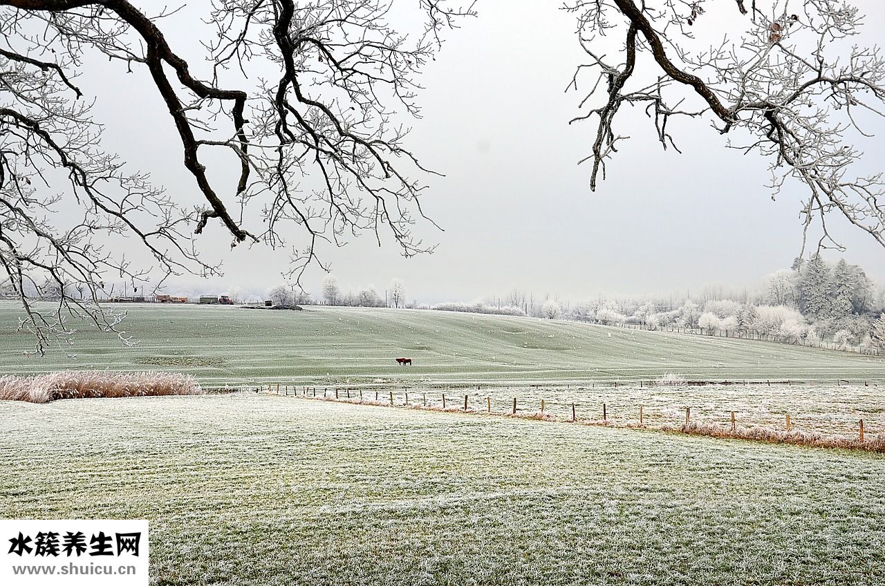 高資的卸妝油怎么樣