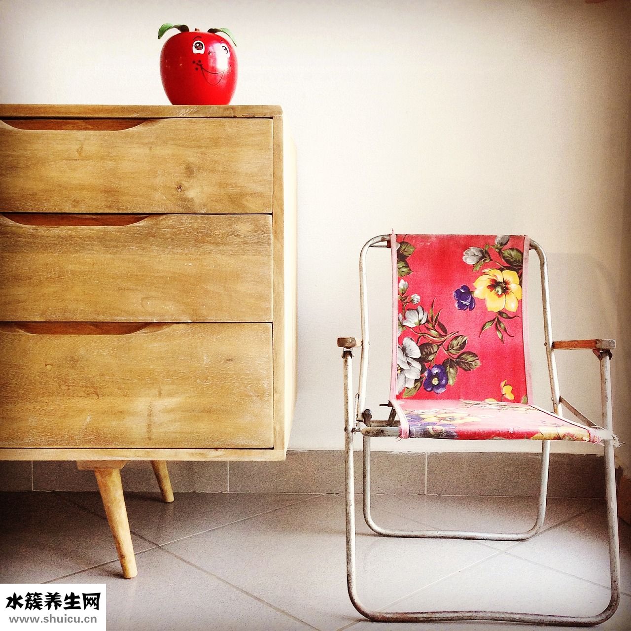 懷孕養寵物會怎么樣