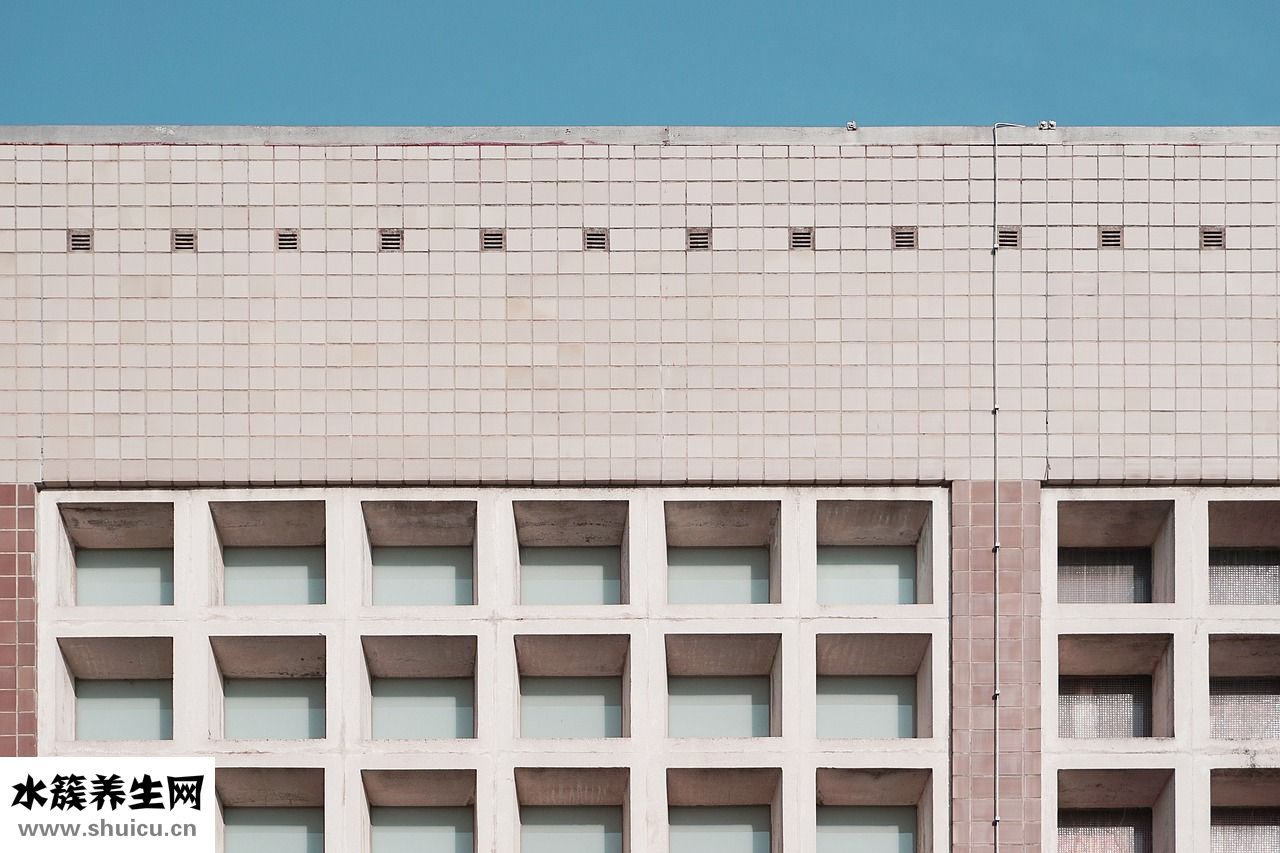 參茸金丹怎么樣