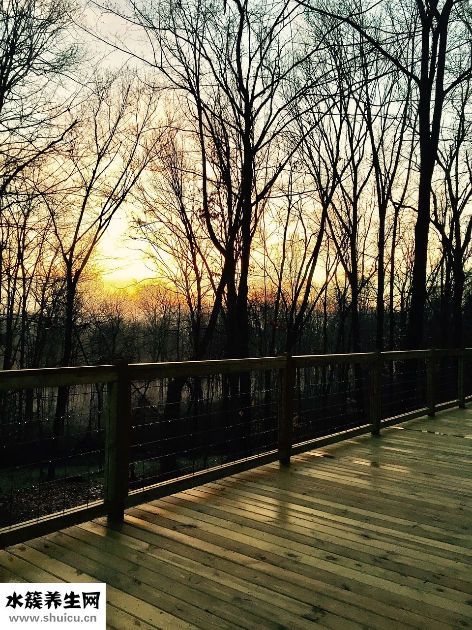 如何更換拖把頭