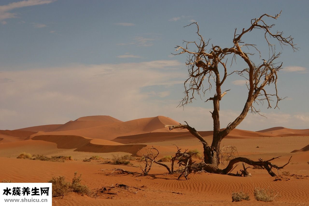 惡性淋巴瘤能活多久