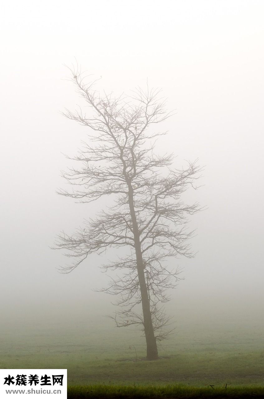 高資的卸妝油怎么樣