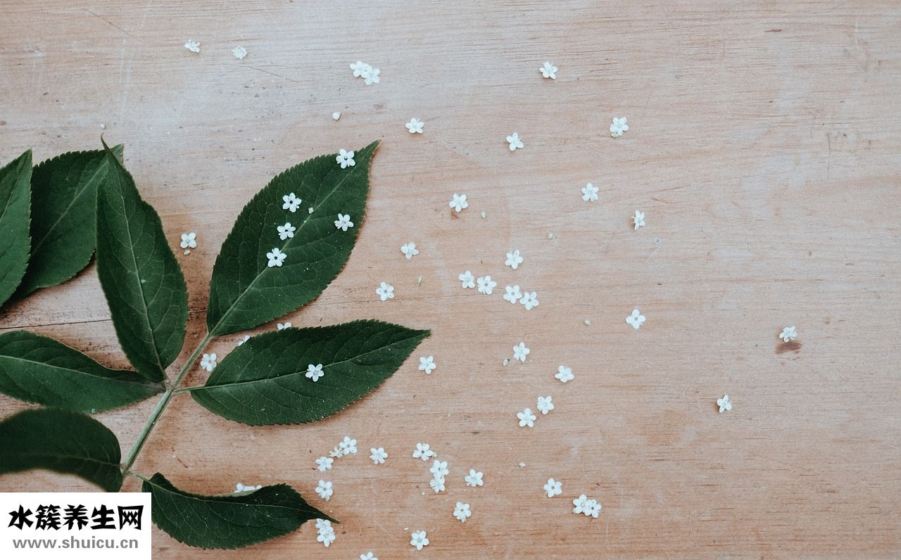 輕悠阿膠怎么樣