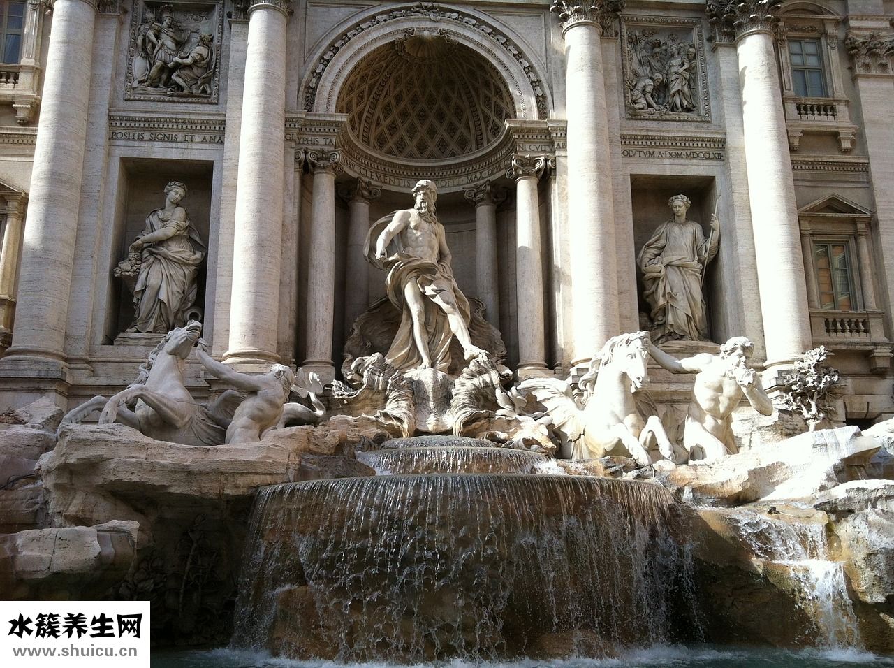 寶格麗夜茉莉怎么樣