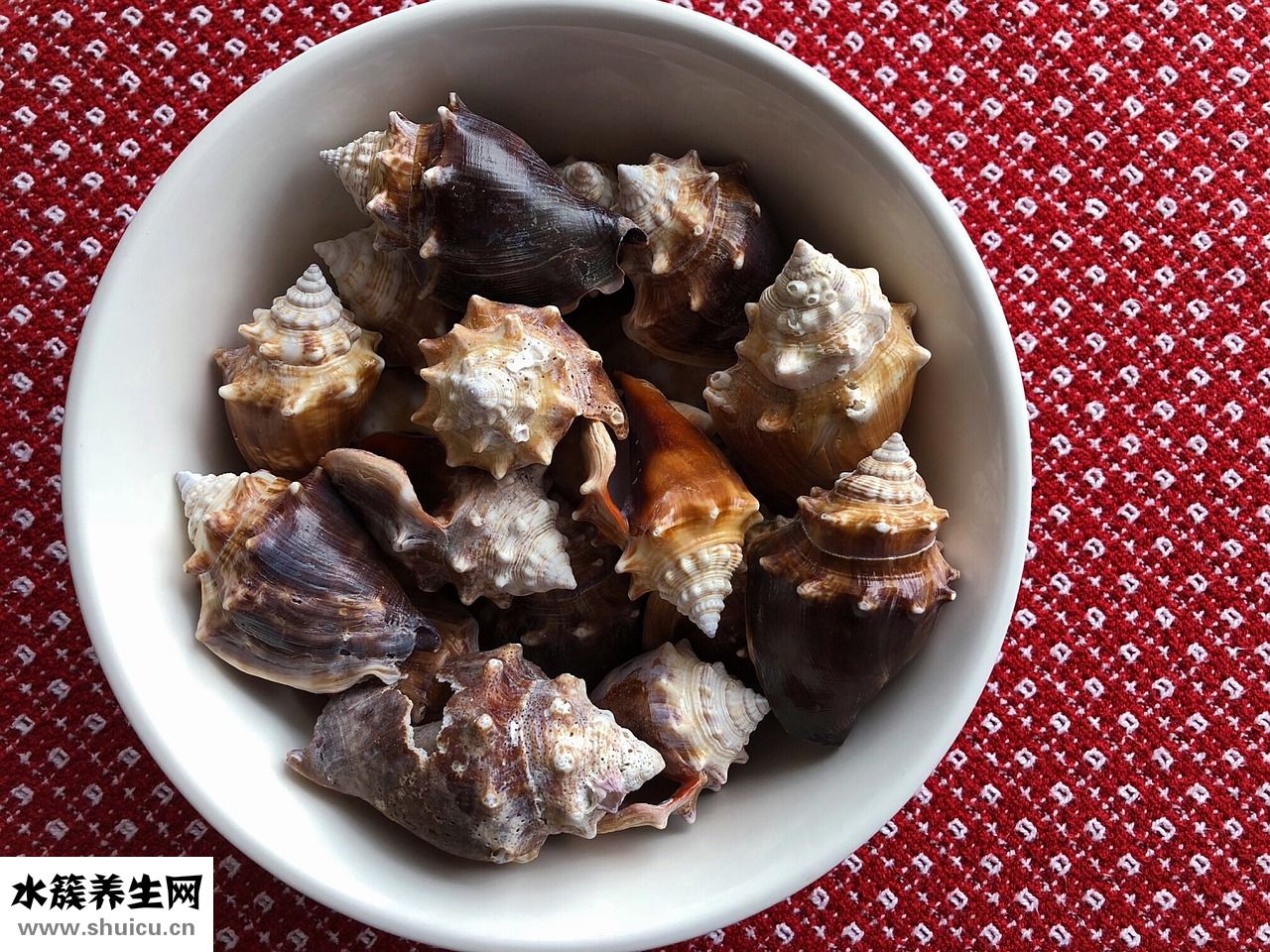 怎么樣用砂鍋煮海鮮