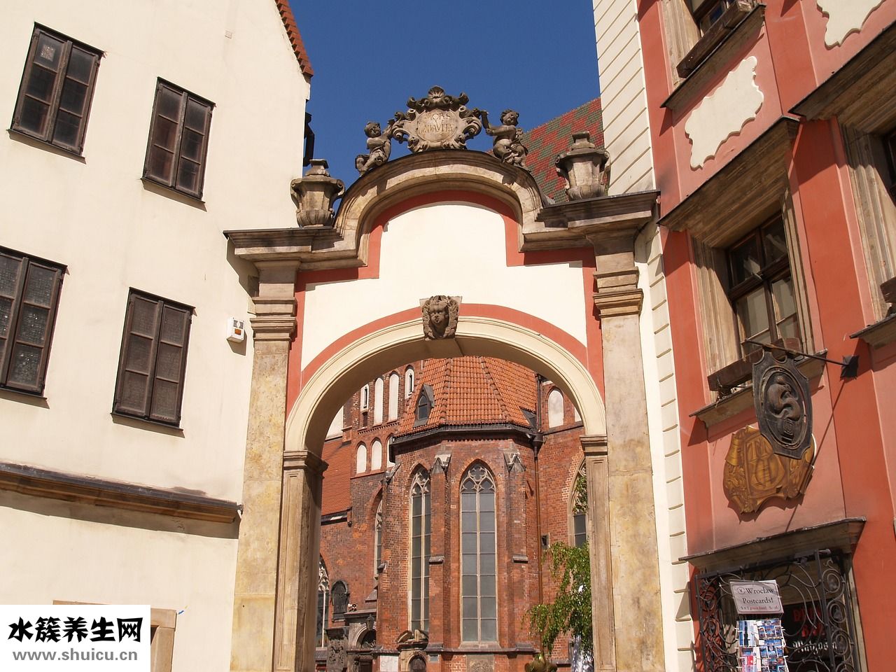 紐西萊特鈣片怎么樣