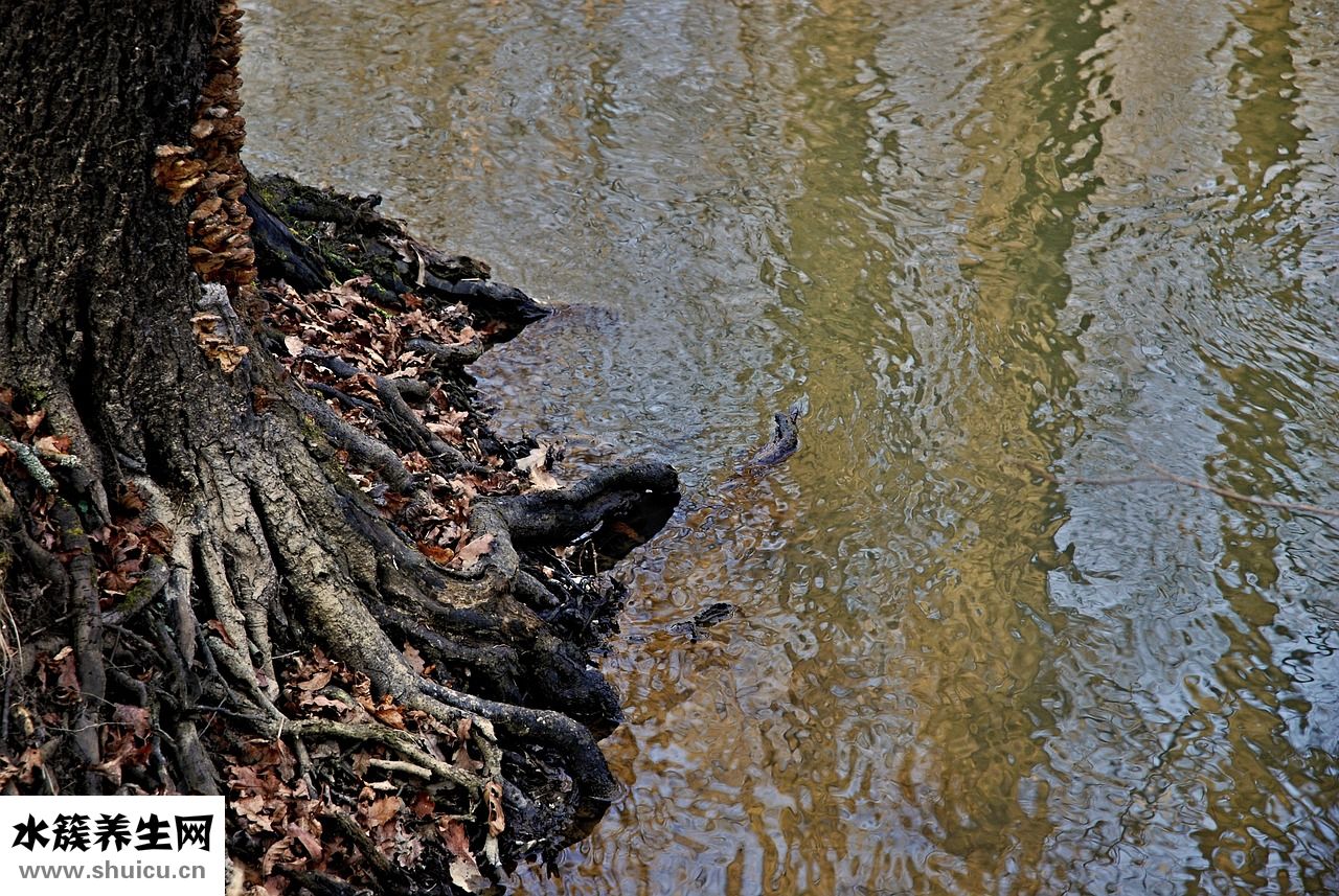 海加爾山怎么去