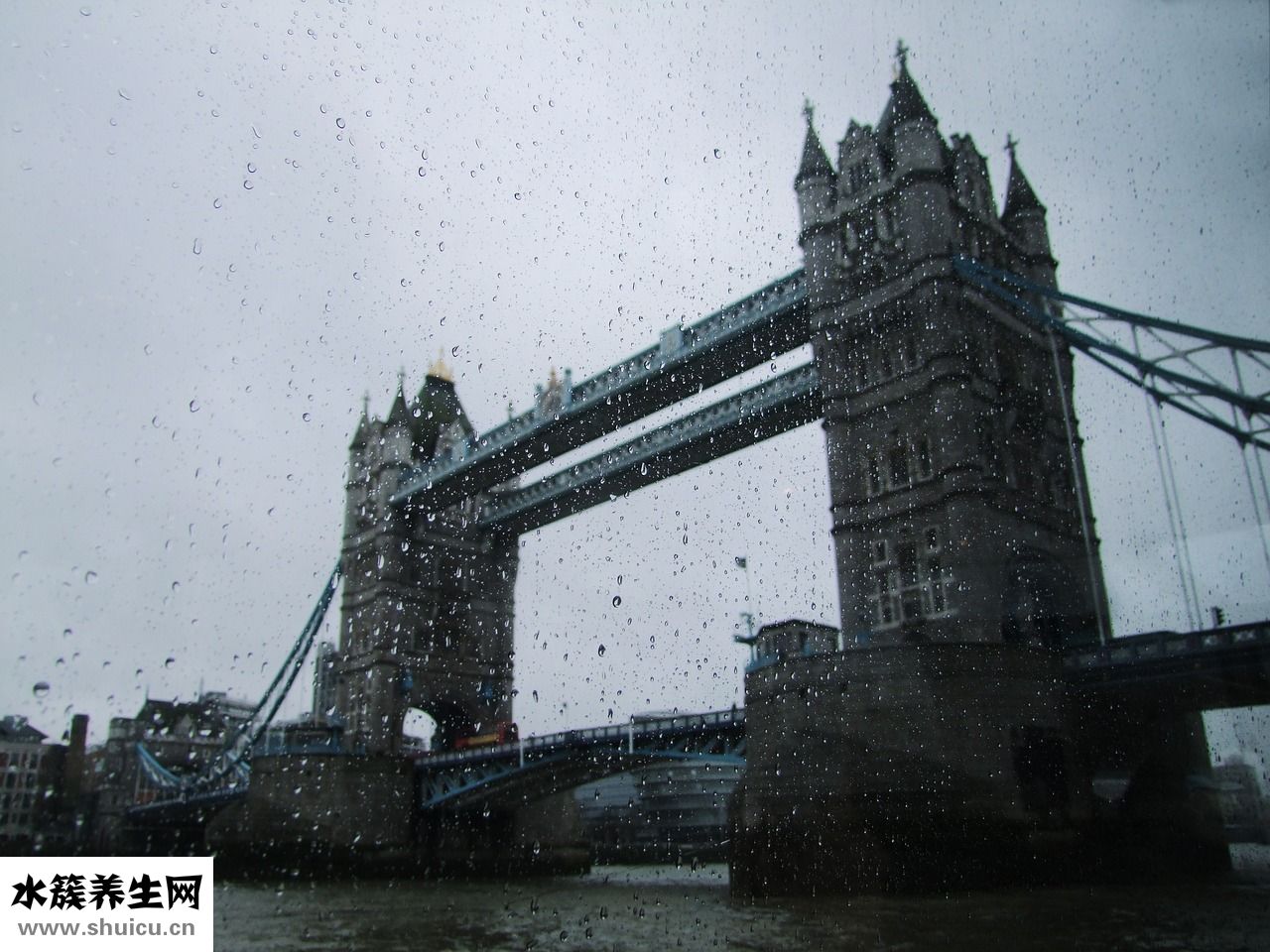 施樂輝髓內釘怎么樣