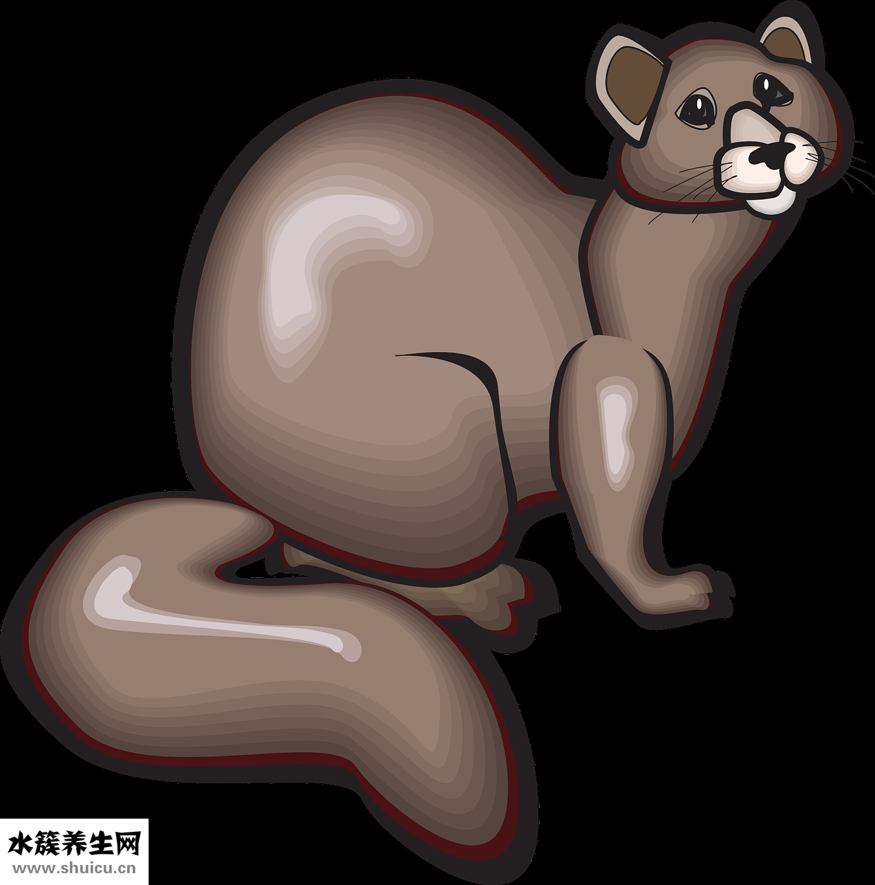 貂子毛領怎么洗