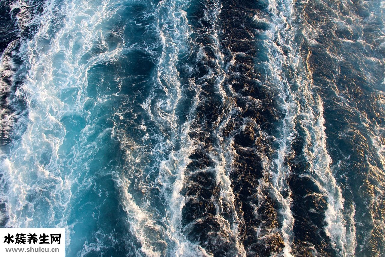 啟賦奶粉怎么沖泡