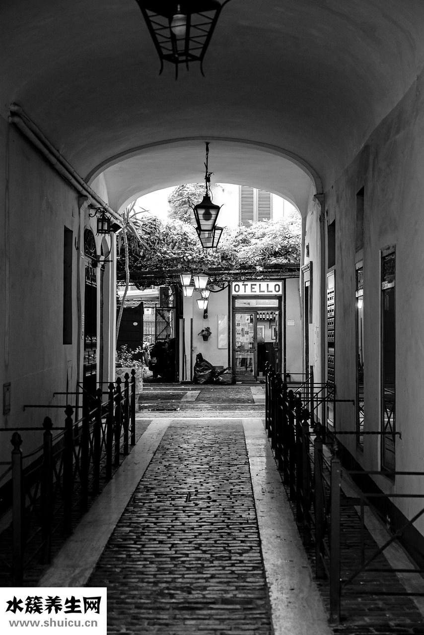 冷凍蝦仁怎么吃