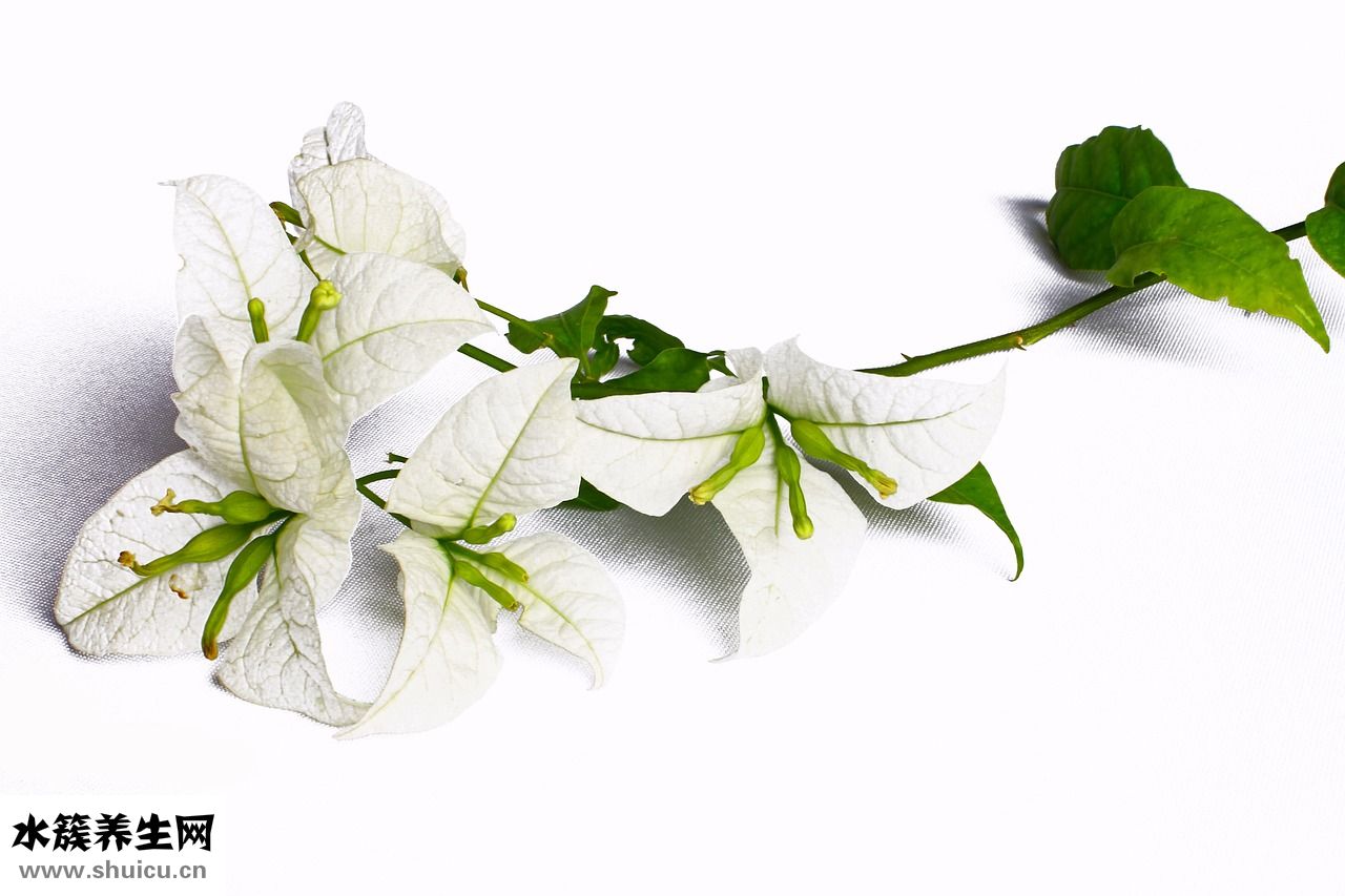 女生難高潮怎么辦