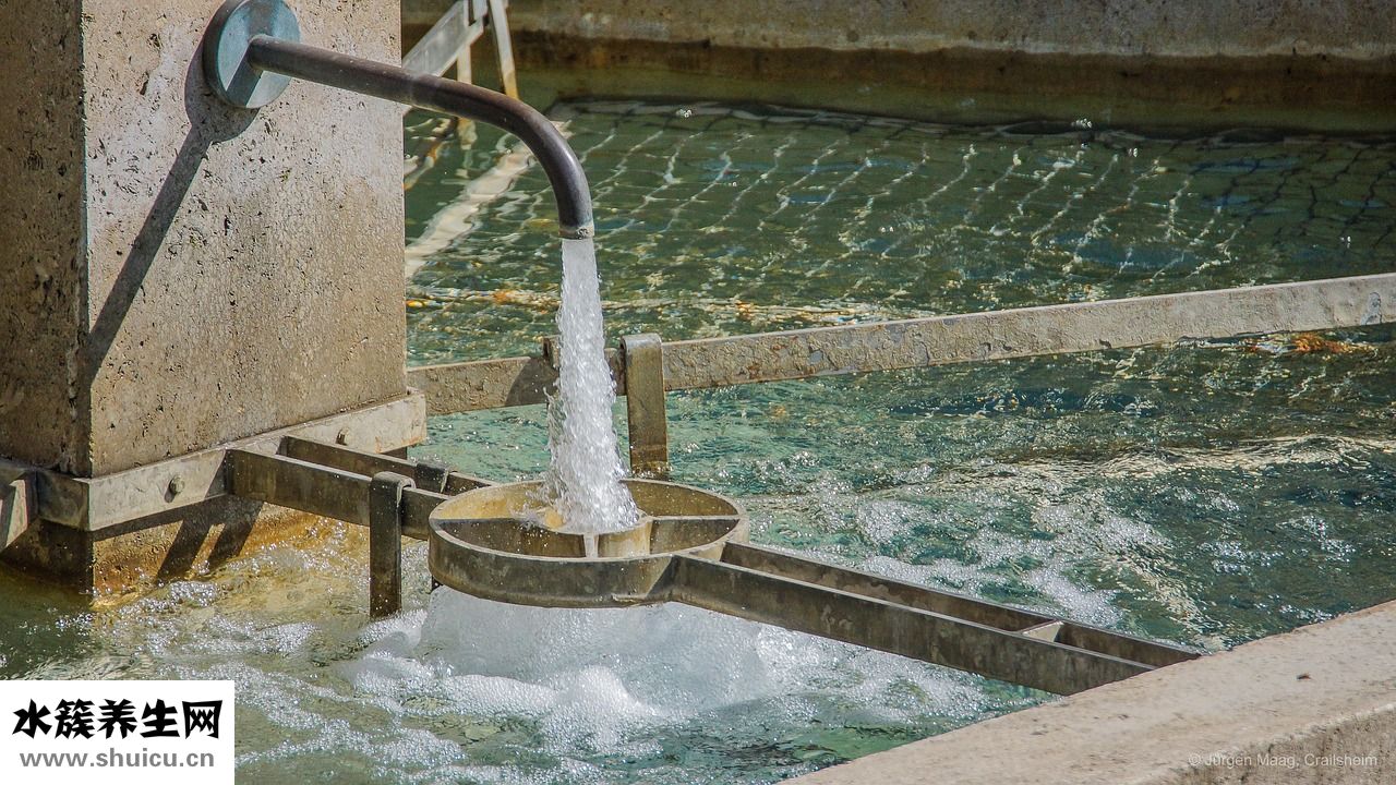 啟賦奶粉怎么沖泡