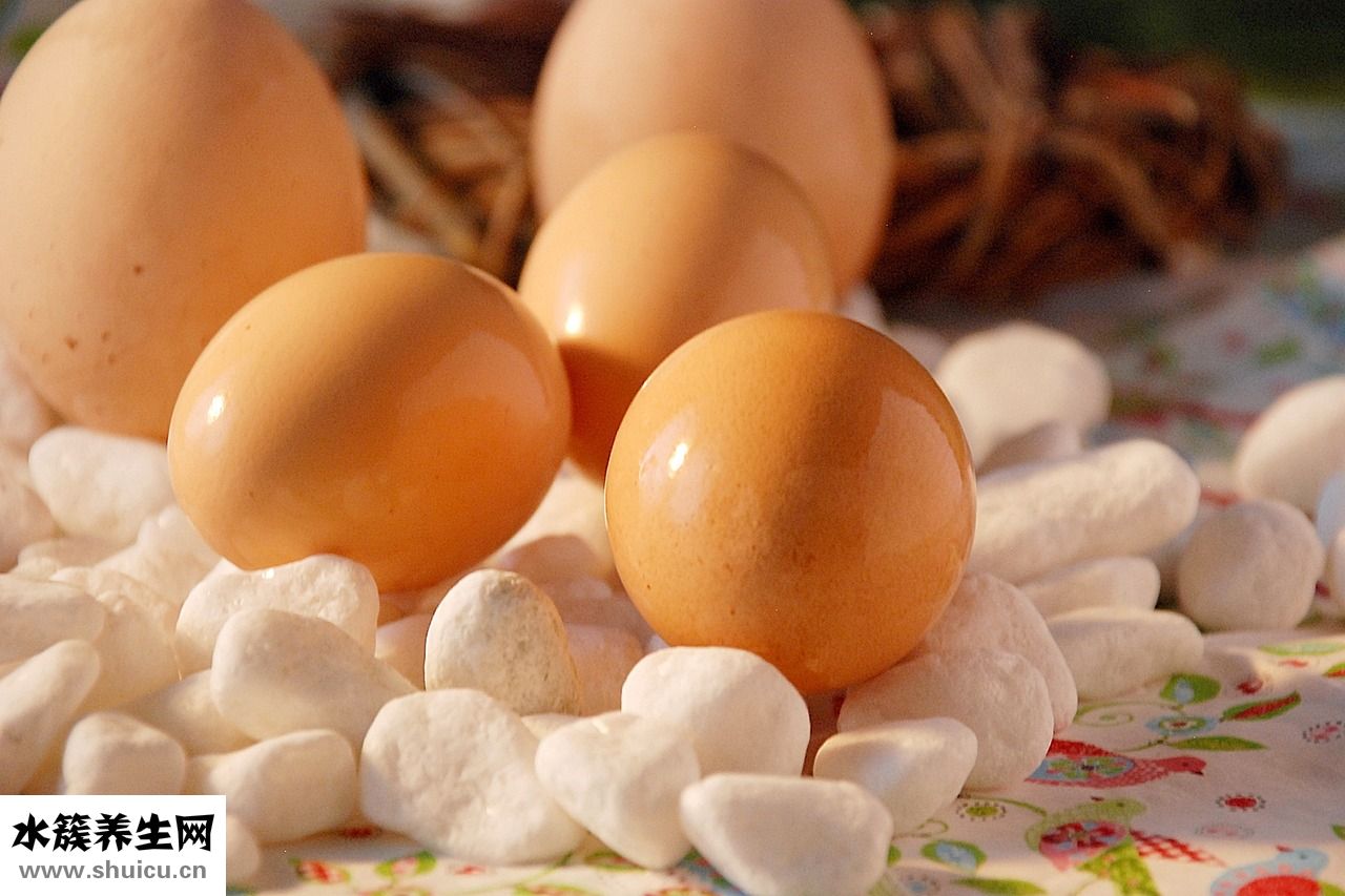 爆炒鴨均怎么炒