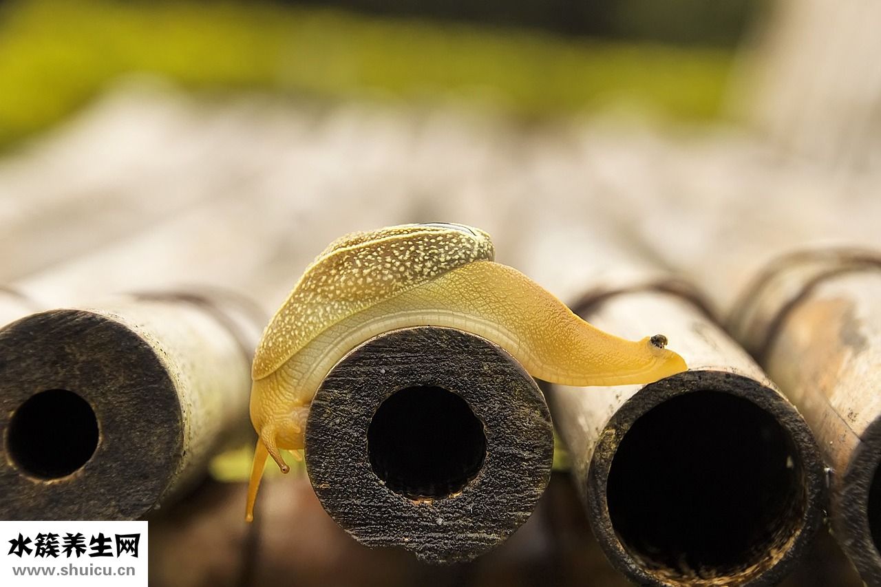三跟棒針怎么連織