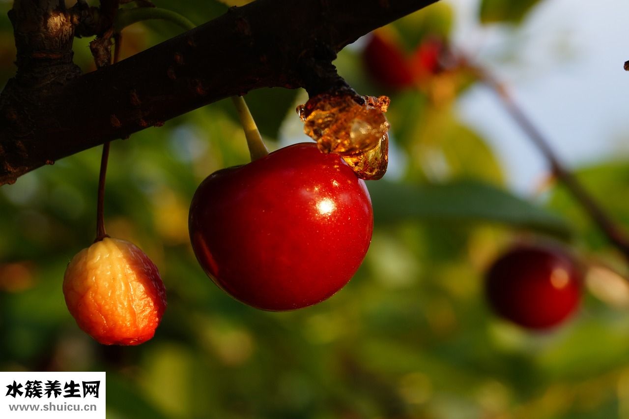 怎么消除冰箱異味