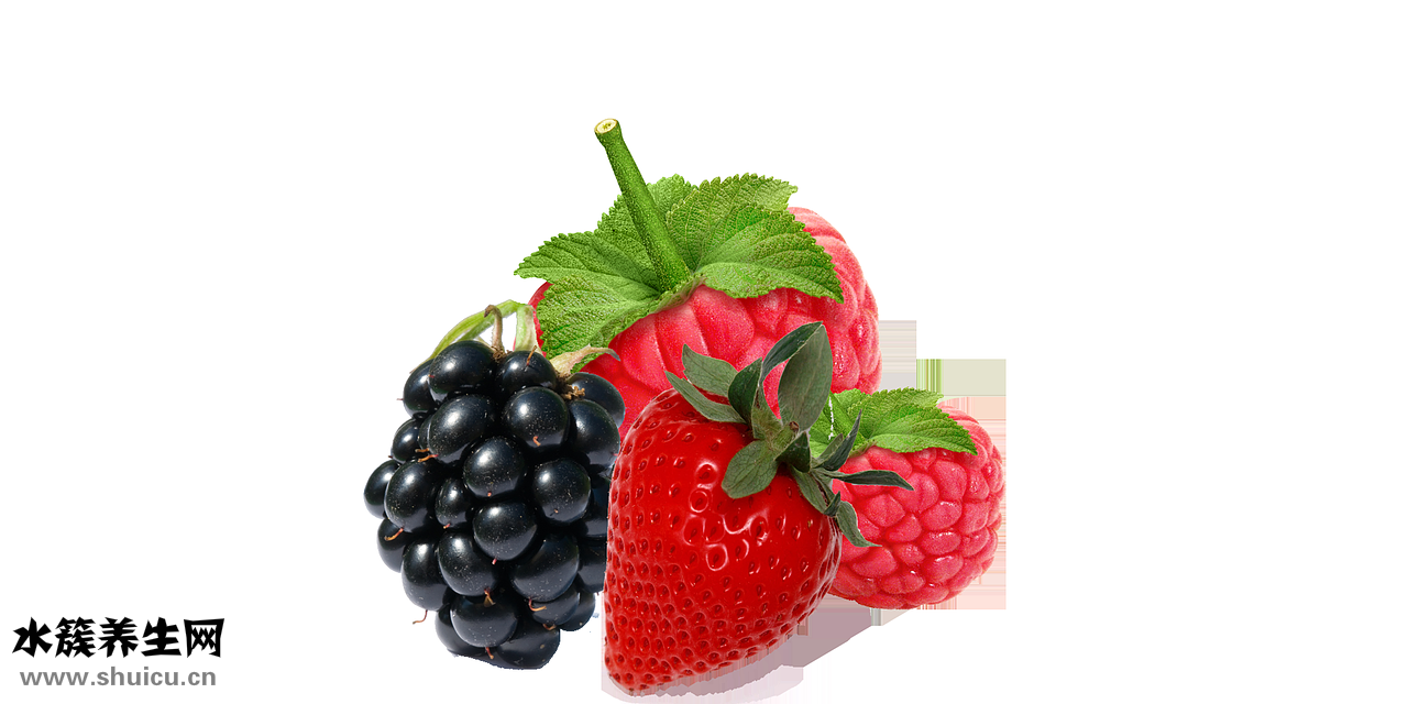 怎么判斷豬肉壞了沒