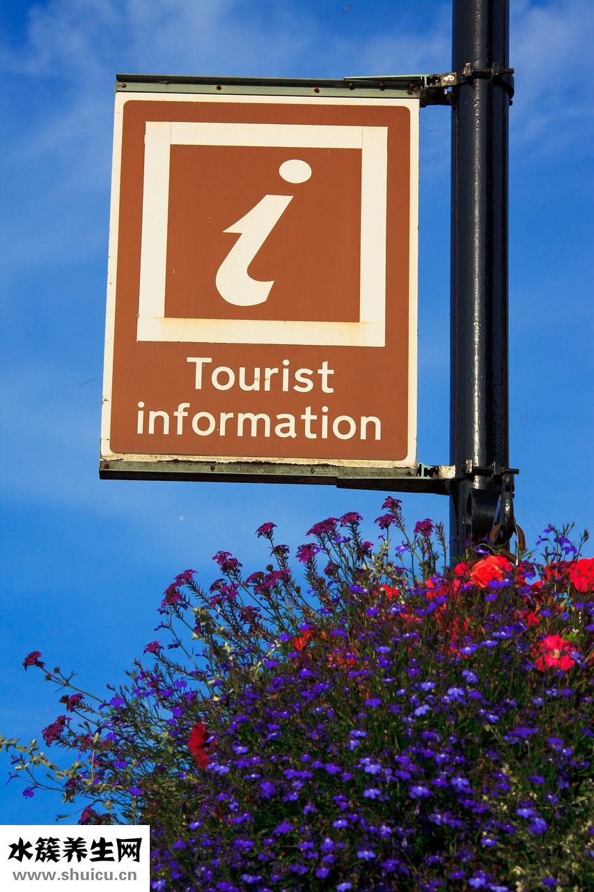 煮粥鹽放多了怎么辦