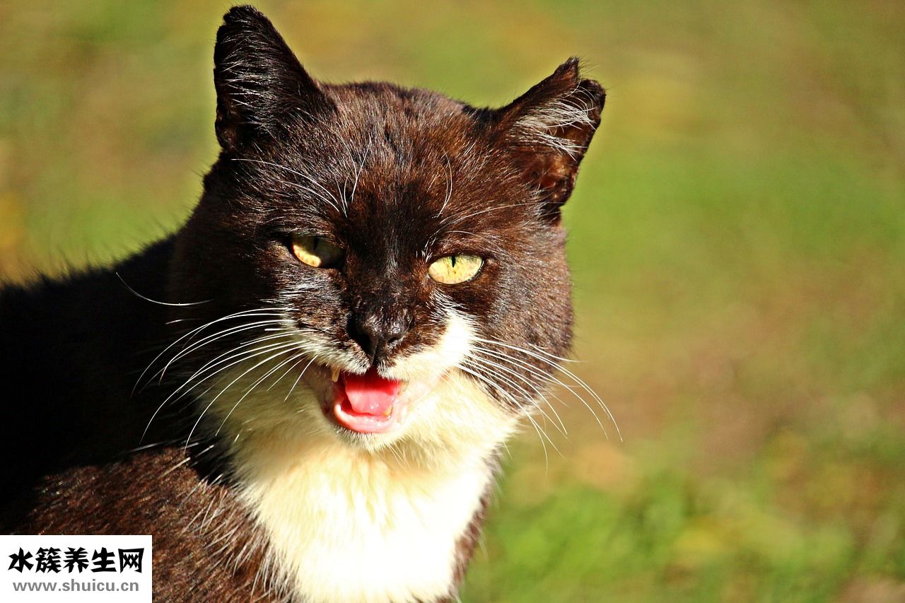 怎么提拔護士長