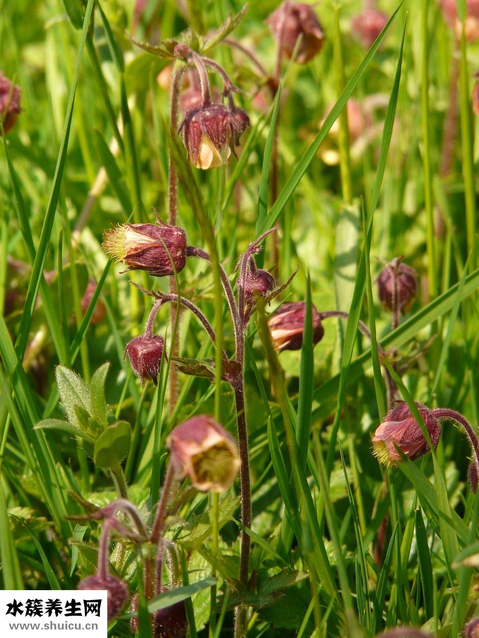 男生頭發太硬怎么辦