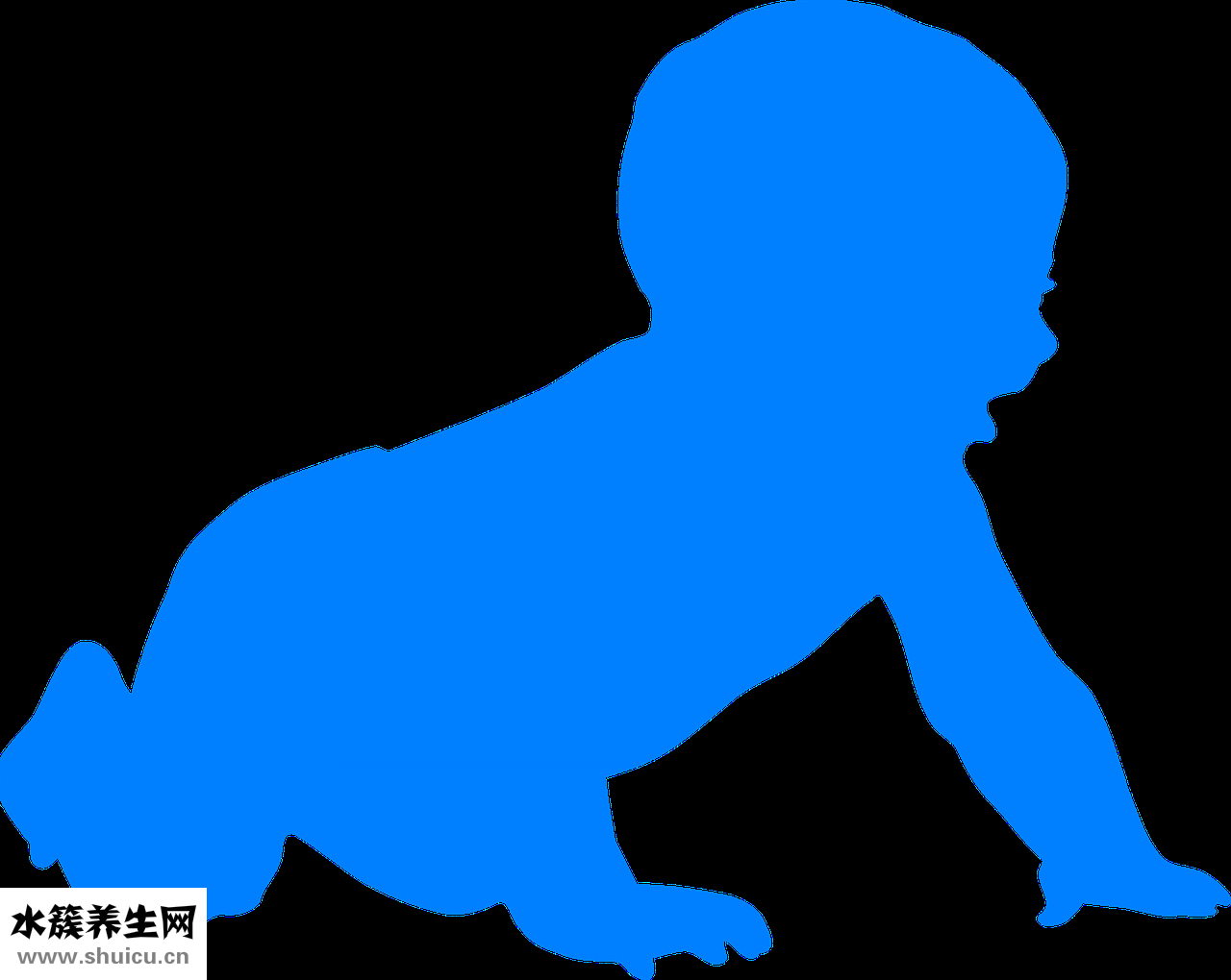 倉鼠怎么喂麥片