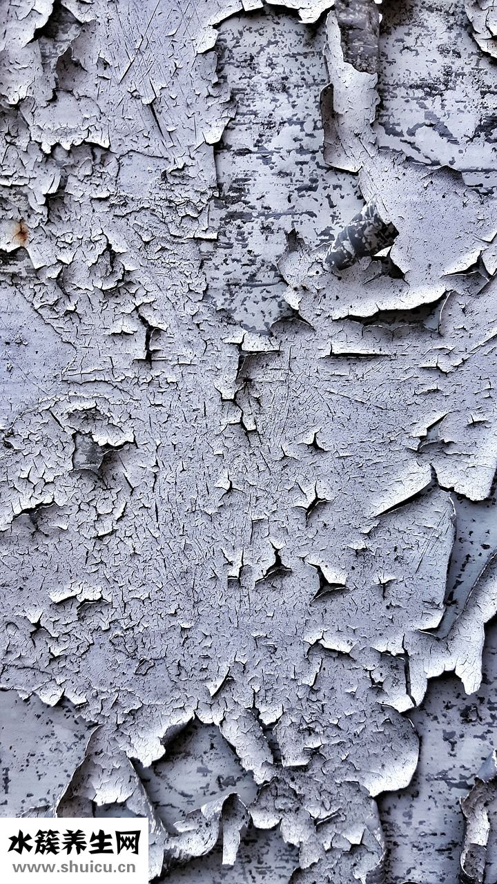 豬肉怎么看壞沒壞