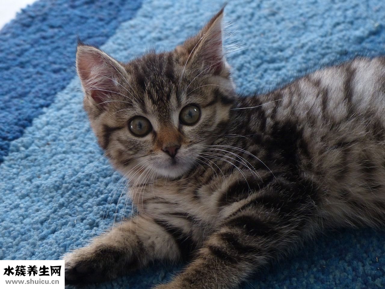 耳朵有耳釘怎么辦