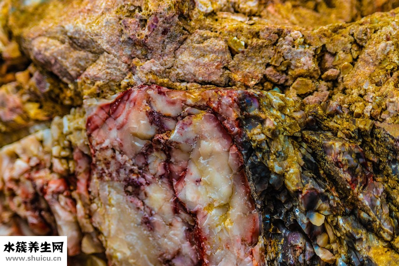 盆腔炎積水怎么治療