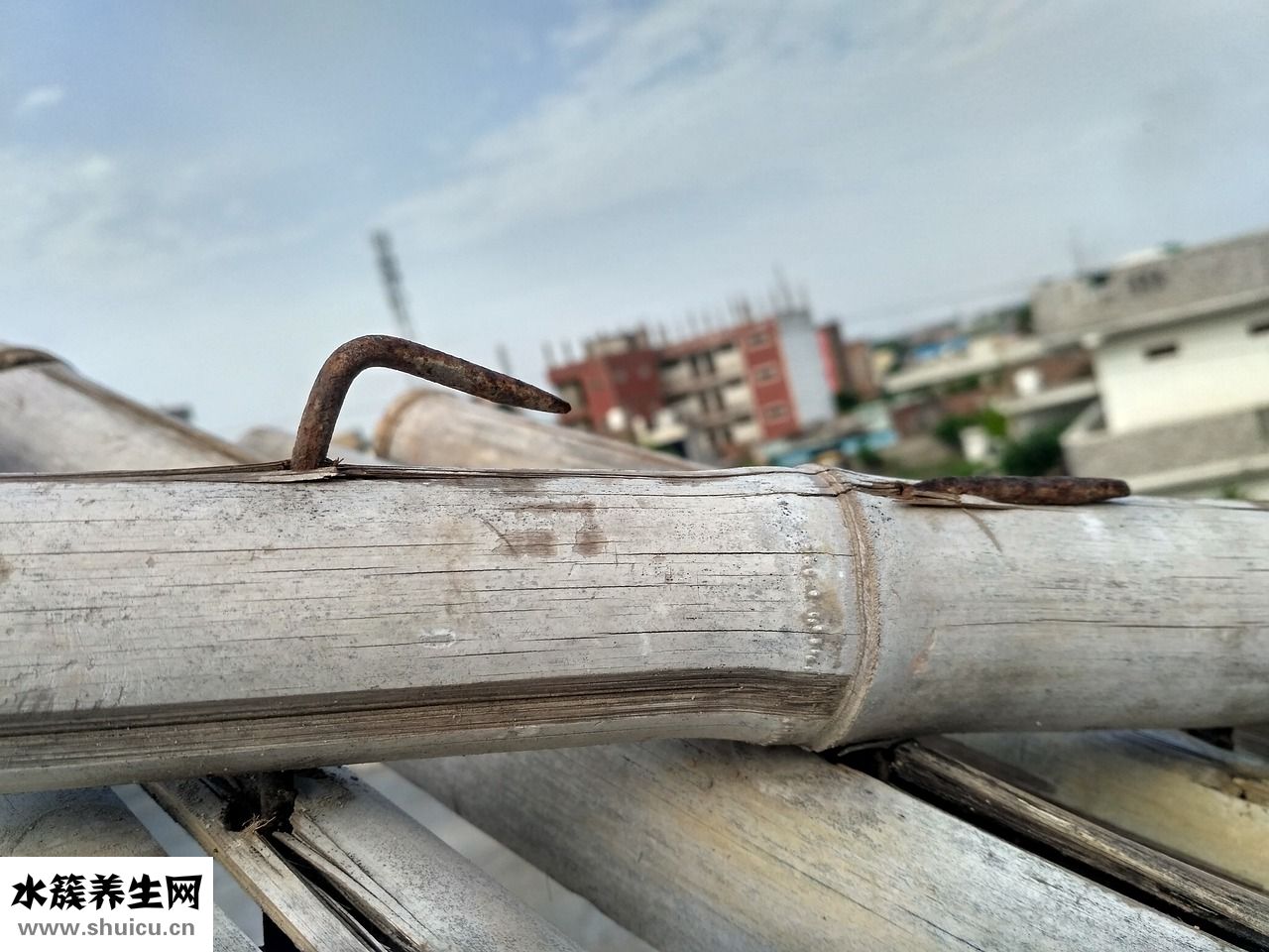 盆腔炎積水怎么治療