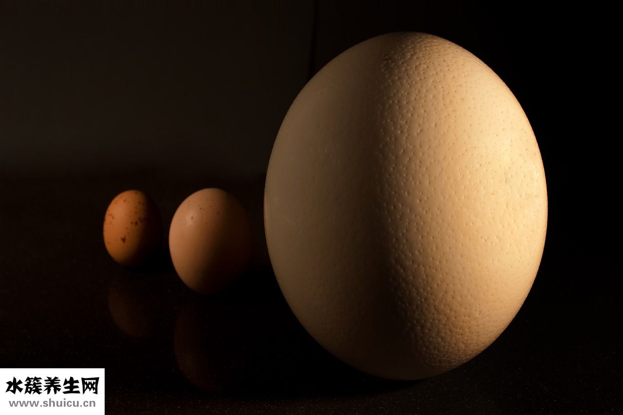 爆炒鴨均怎么炒