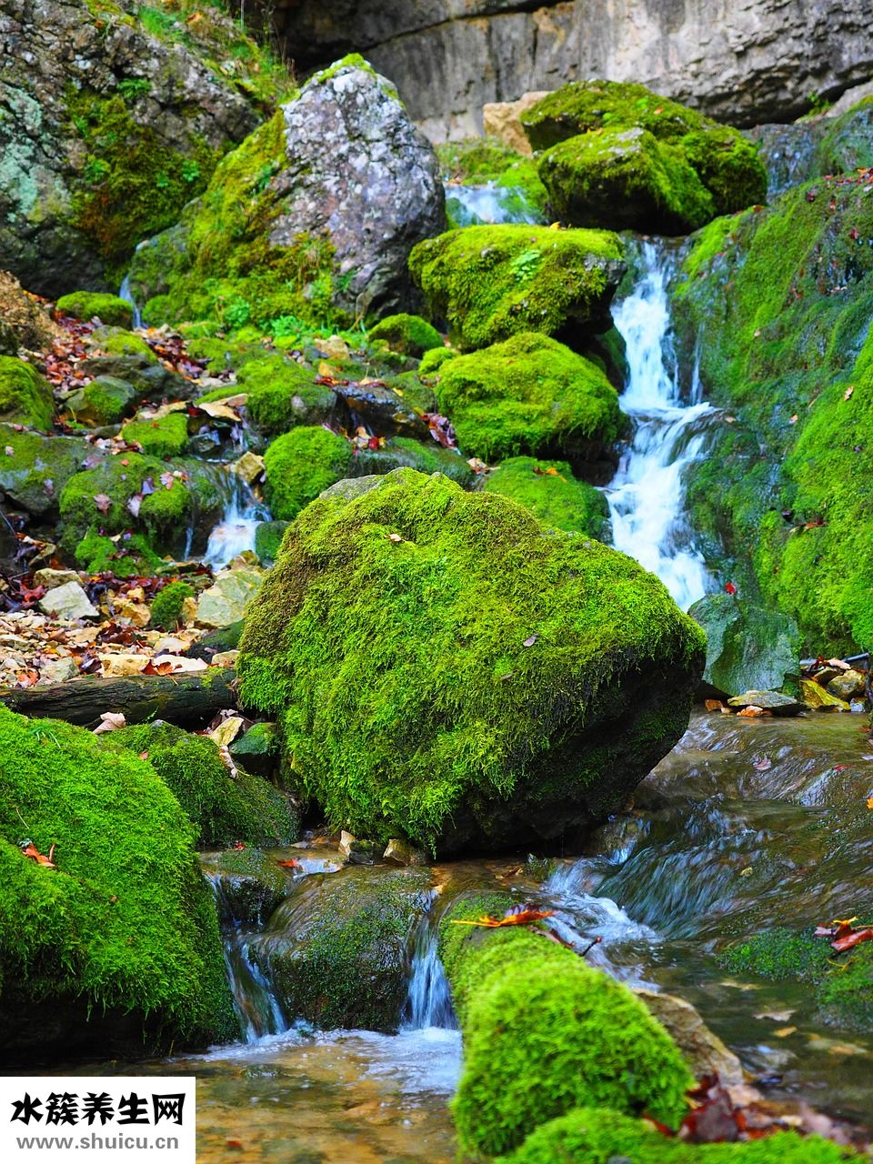 臉上長肝斑怎么回事