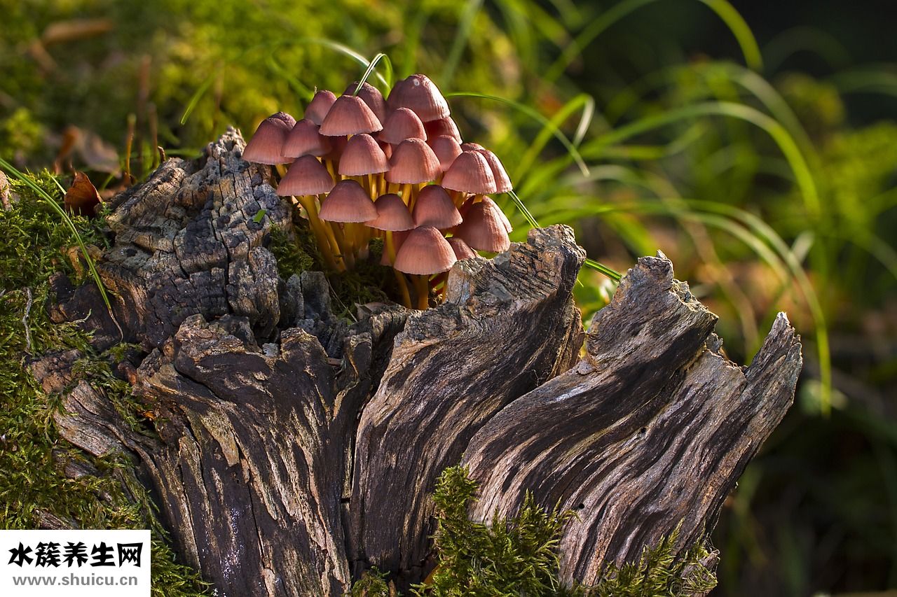 長癬了怎么治療